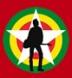 http://www.strummerville.com/